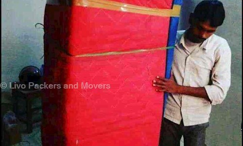 Livo Packers and Movers in Santola, Guwahati - 781001