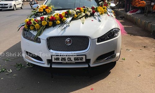 Shri Krishna Tour & Travels in Sector 22, Noida - 210301