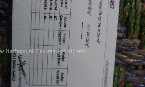 Hashmat Ali Packers And Movers in Sadatwari, Moradabad - 244001