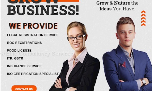 Elite Consultancy Services in Danilimda, Ahmedabad - 380028