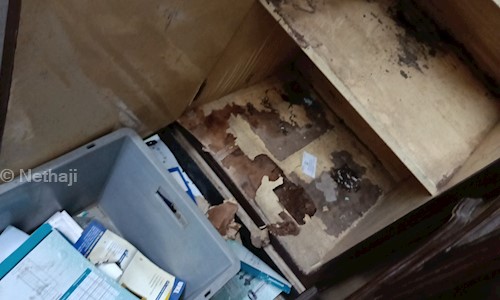 Nethaji in Urapakkam, Kanchipuram - 603211