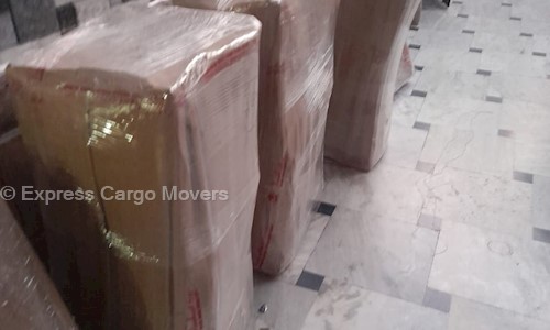 Express Cargo Movers in Triveni Nagar, Allahabad - 211008