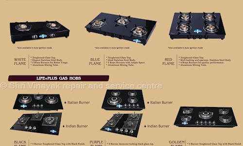 Shri Vinayak repair and service centre  in Delhi, Delhi - 110045