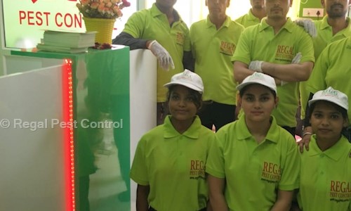 Regal Pest Control in Pitampura, Delhi - 110088