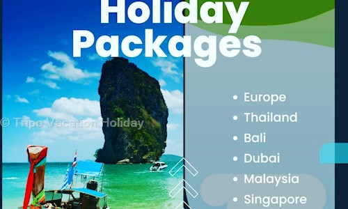 Tripo Vacation Holiday in Joginder Nagar, Mandi - 175032