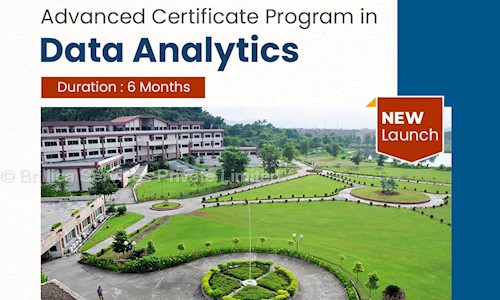 Brillica Services Private Limited in Rajouri Garden, Delhi - 110027