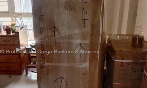 Professional Cargo Packers & Movers in Meghpar Borichi, Gandhidham - 370110