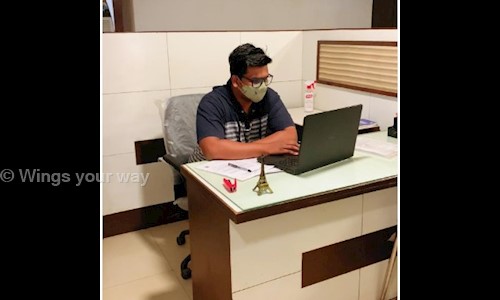 Wings your way in Sector 17, Chandigarh - 160017