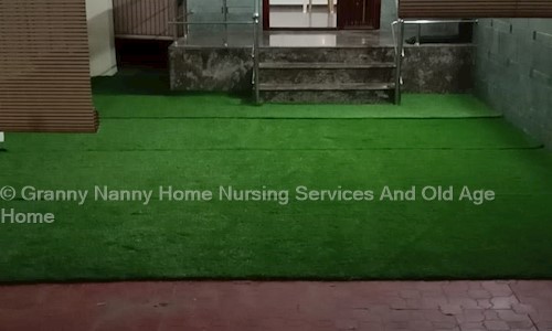 Granny Nanny Elder Care and Home Nursing