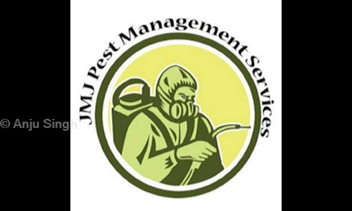 JMJ Pest Management Services in Badarpur, Delhi - 110044