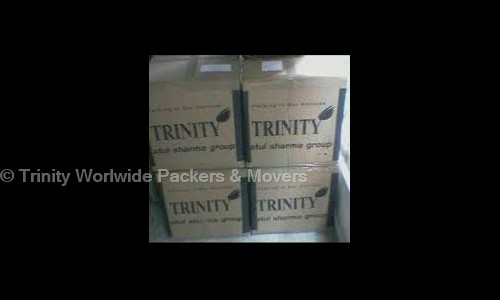 Trinity World Wide Packers & Movers in MG Road, Gurgaon - 122002