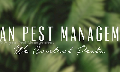 Aryan Pest Management in Navrangpura, Ahmedabad - 380009