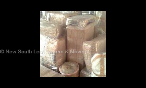 New South Leo packers and movers  in Chandigarh, Chandigarh - 160101