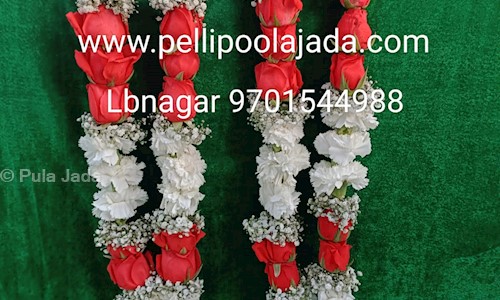 Pula Jada in Lal Bahadur Nagar, Hyderabad - 500074