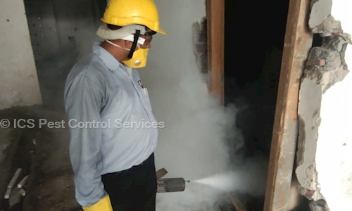ICS Pest Control Services in Manimajra, Chandigarh - 160101
