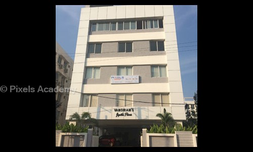 Pixels Academy in Madhapur, Hyderabad - 500081