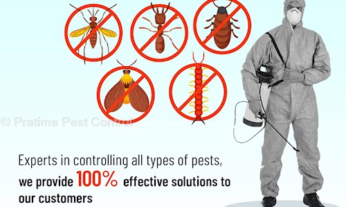Pratima Pest Control in Bharat Nagar, Bhopal - 151001