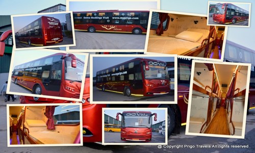 Prigo in Vijay Nagar, Jabalpur - 482002