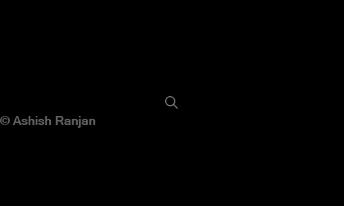 Ashish Ranjan in  Pune, Pune - 411032