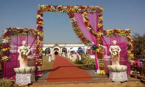 Purple Unicorn in Bariatu, Ranchi - 834009