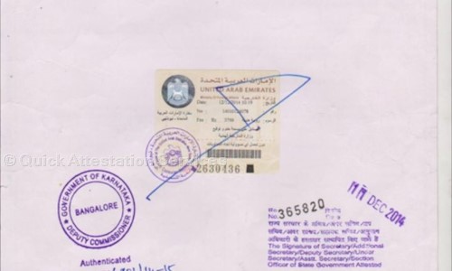 Quick Attestation Services in Jayanagar, Bangalore - 560011