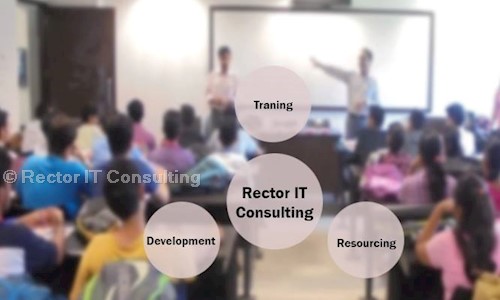 Rector IT Consulting in Sector 3, Noida - 201301