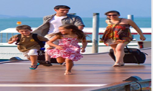 Riya Travels & Tours in Himayat Nagar, Hyderabad - 500029