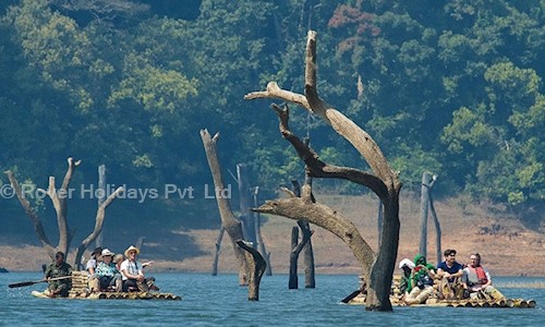 Rover Holidays Pvt  Ltd in Kaloor, Kochi - 682017