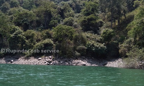 Rupinder cab service in Gumtala Sub Urban, Amritsar - 143001