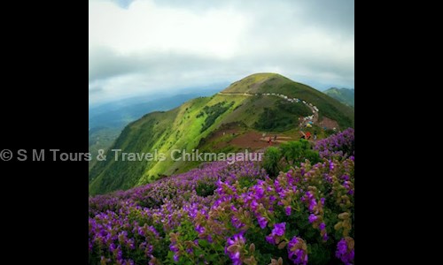 S M Tours & Travels Chikmagalur in Chickamagalur, Chikmagalur - 577101