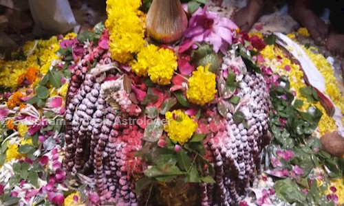 Saksham Jyotish Astrologer in Sion, Mumbai - 400022