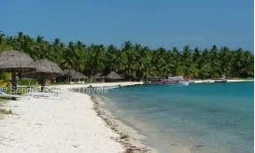 Sandis Tours & Travels in Sadashiv Peth, Pune - 411030