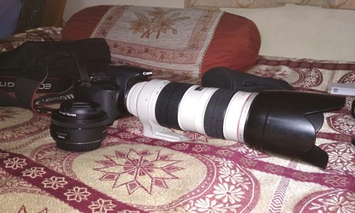 Say Cheese Photography & Rental Store in Scheme No.71, Indore - 452009