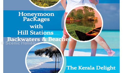 Scenic Holidays in Vyttila, Cochin - 682019