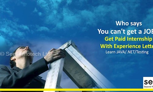 Seed Infotech Ltd. in Erandwane, Pune - 411004