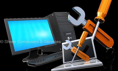 Shree Computers & Services in Lal Bangla, Kanpur - 208007