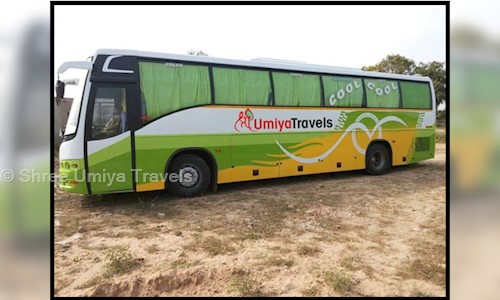 Shree Umiya Travels in Naranpura, Ahmedabad - 380013