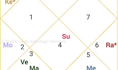 Shubh Labh Astrology Services in Bikaner City, Bikaner - 334004