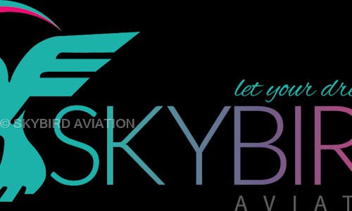 SKYBIRD AVIATION in P.B. Road, Davangere - 577006