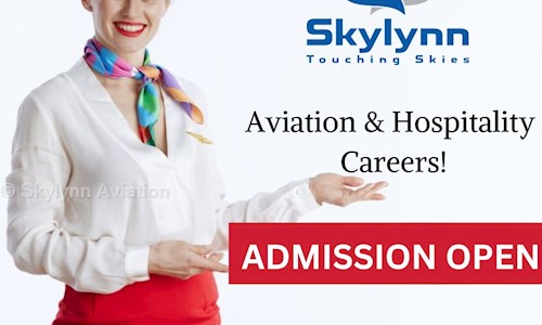 Skylynn Aviation in Mahavir Enclave, Delhi - 110045