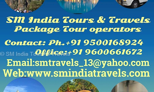 SM India Tours & Travels in Vadapalani, Chennai - 600026