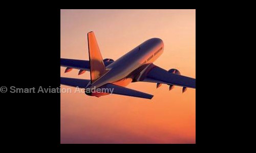 Smart Aviation Academy in Mahipalpur, Delhi - 110037