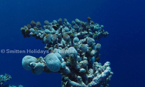 Smitten Holidays & Travels in Edappally, Kochi - 682024