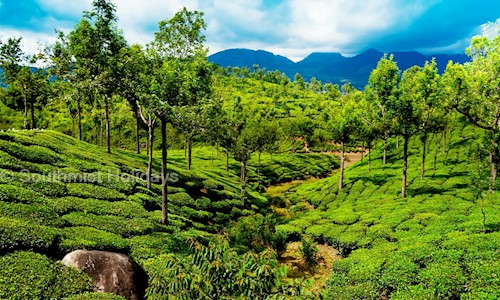 Southmist Holidays in Nedumbassery, Mookkannoor - 683585