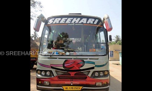 SREEHARI TRAVELS in Puliyarakonam, Trivandrum - 695573
