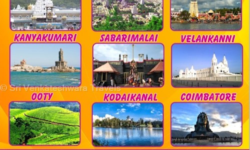 Sri Venkateshwara Travels in Adambakkam, Chennai - 600088