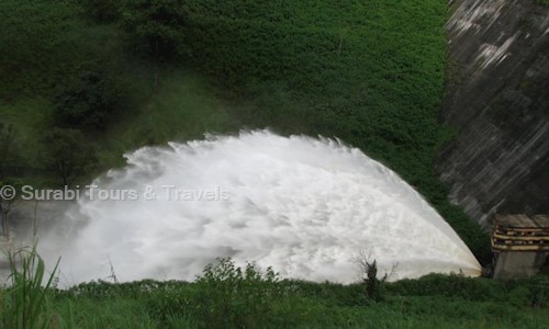 Surabi Tours & Travels	 in Himayat Nagar, Hyderabad - 500029