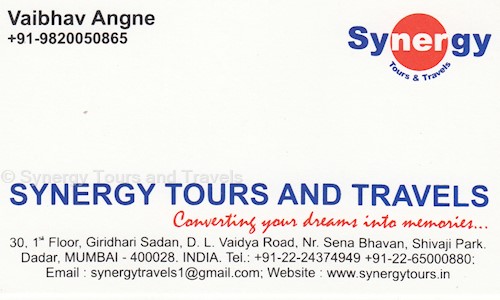 Synergy Tours and Travels in Dadar West, Mumbai - 400028