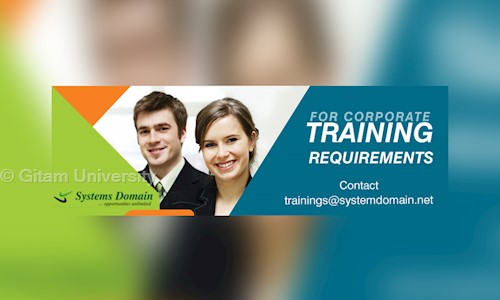 System Domain (P) Ltd in Indira Nagar, Bangalore - 560038