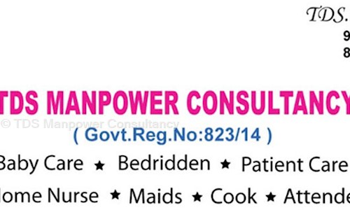 TDS Manpower Consultancy in Saligramam, Chennai - 600093